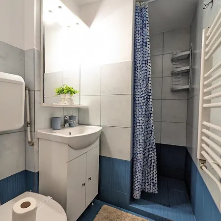 Apartment Old Town - Victoriei 2