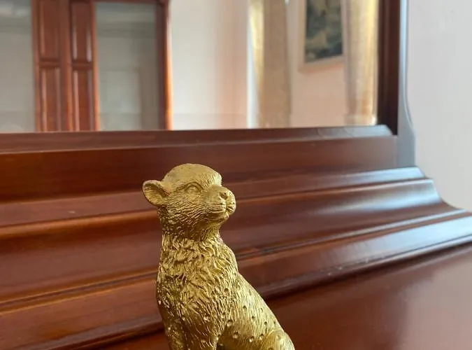 Old Town - Victoriei 2 アパート *